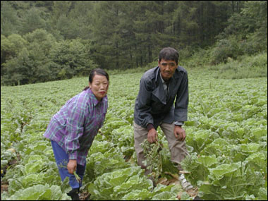 옆집 농사꾼 노씨 부부 